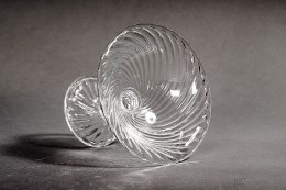 Glass Serwicki Ząbkowice