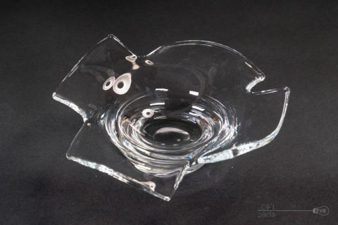 glass plate glass plate