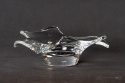 glass plate