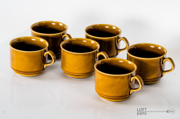 Cups ''Topaz'' Mirostowice