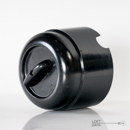 Bakelite switch
