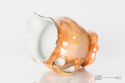Polish porcelain
