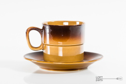Cup with saucer Tułowice