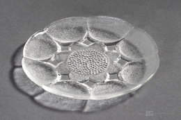 Plate Stella Eryka Trzewik Drost