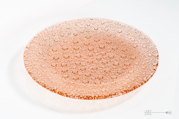 Platter Asteroid Jan Sylwester Drost