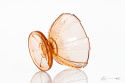 Vintage glass PRL Vintage glass PRL
