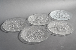 Plates of Asteroids Jan Sylwester Drost