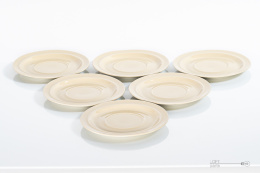 Saucer set Pruszków