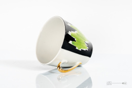 Polish porcelain