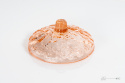 Lid Strawberry Eryka trzewik Drost