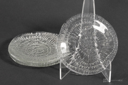 plates fossil of Erika Trzewik Drost