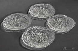 Plates fossil PRL Drost Ząbkowice