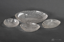 śledziówki cardidae ludwik fiedorowicz