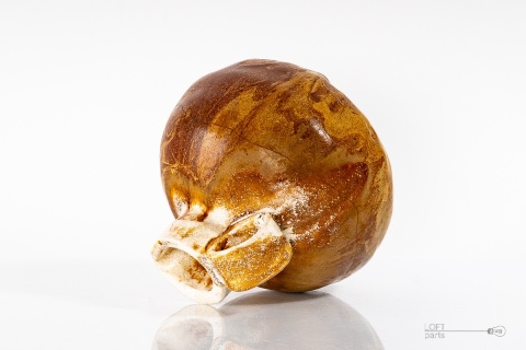 old ceramic jugceramics of the people's republic of poland