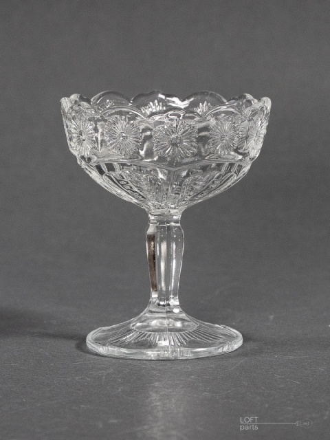 Daisy cup Ząbkowice