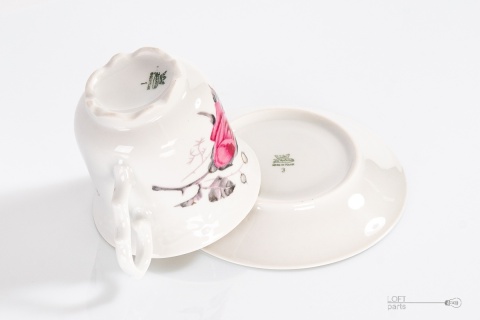 porcelana z karoliny