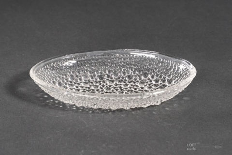 Asteroid Herring plate Jan Sylwester Drost