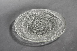 patera skamielina eryka trzewik drost