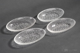 Asteroid herring plates Jan Sylwester Drost