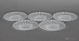 talerzyki cora eryka trzewik drost