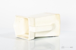 mlecznik fajans chodzież mańczak