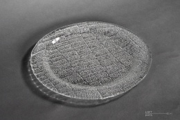 platter igloo eryka trzewik drost