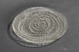 patera skamielina eryka trzewik drost