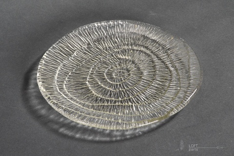 plate fossil eryka trzewik drost