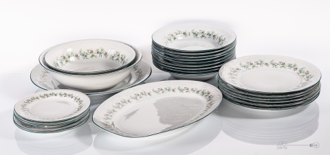 dinner set of the karolina porcelain plant