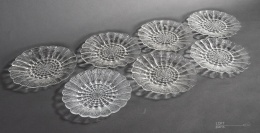 talerzyki cora eryka trzewik drost