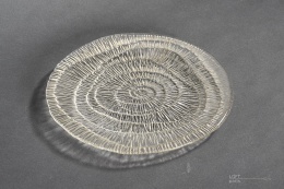 patera skamielina eryka trzewik drost