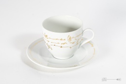 Polish porcelain