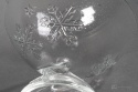 zabkowice stars