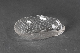 śledziówka cardidae ludwik fiedorowicz