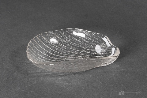 śledziówka cardidae ludwik fiedorowicz