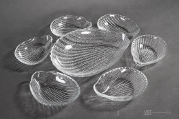 salaterki cardidae ludwik fiedorowicz