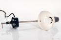 lampa morska famor
