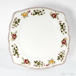 patera porcelana książ