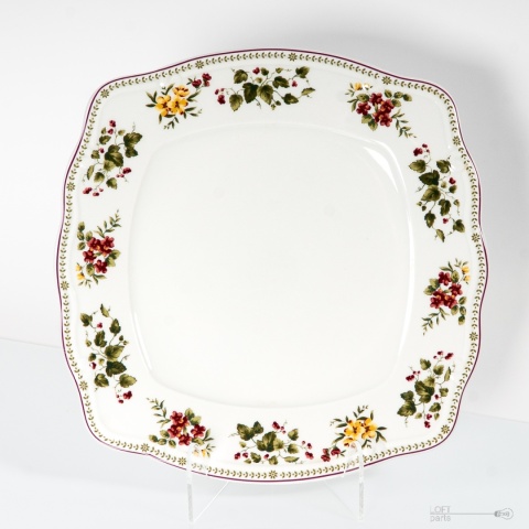 patera porcelana książ