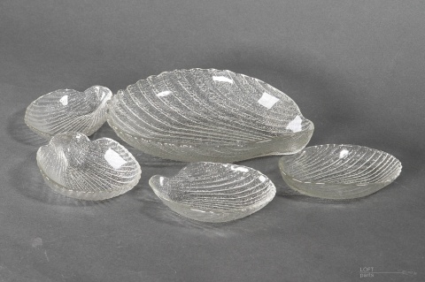 salaterki cardidae ludwik fiedorowicz